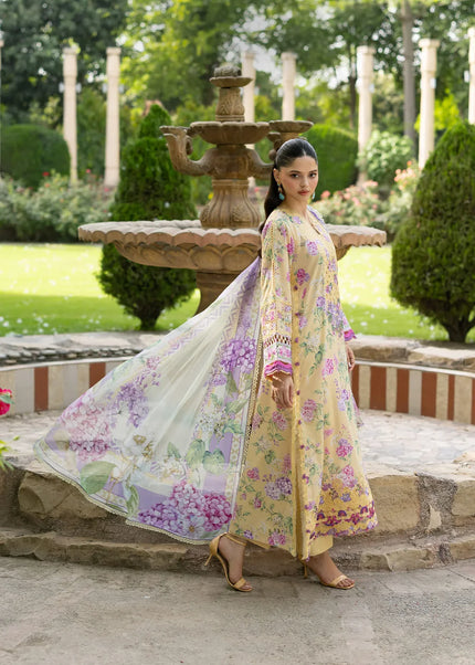 Elaf Premium | Signature '26 - Stella