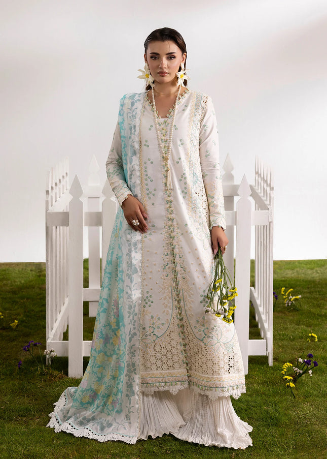 Amber Imran | Amora - Gleam