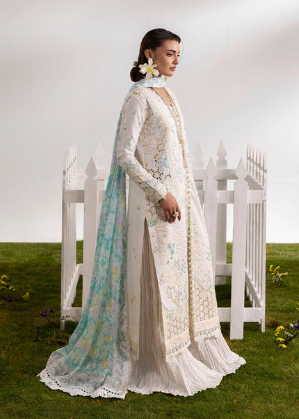 Amber Imran | Amora - Gleam