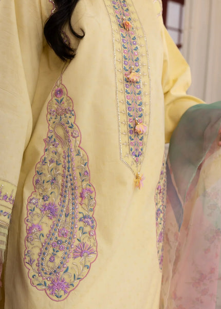 Gulmina | Jacquard '26 - Tulipia