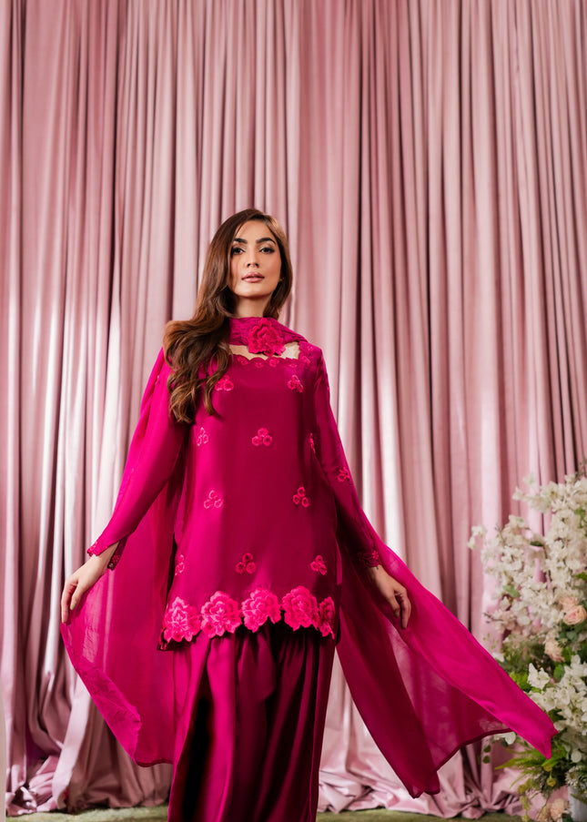 Shanzay Anooshay | Pink Pop