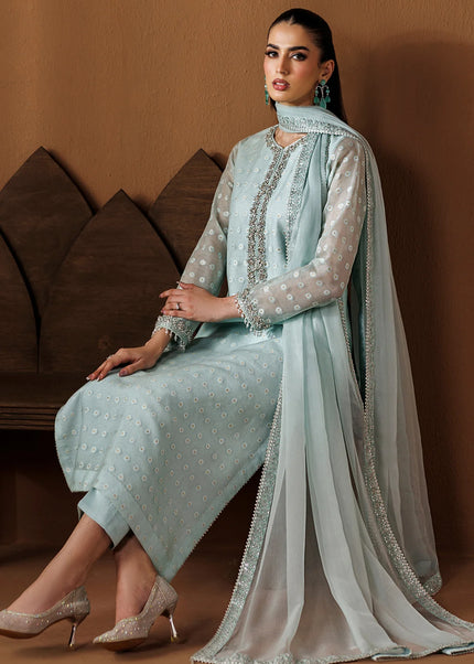 Baroque | Embroidered Cotton Net PR-1285