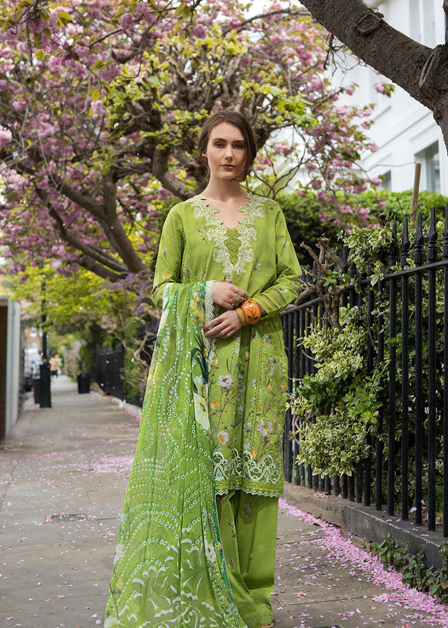 Sobia Nazir | Basic'25 - 3A
