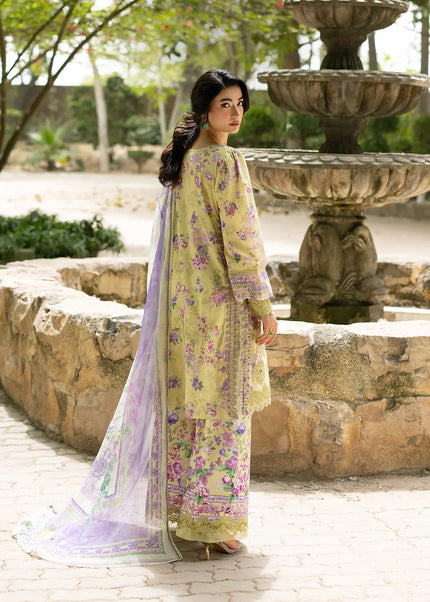 Elaf Premium | Signature '26 - Olivia