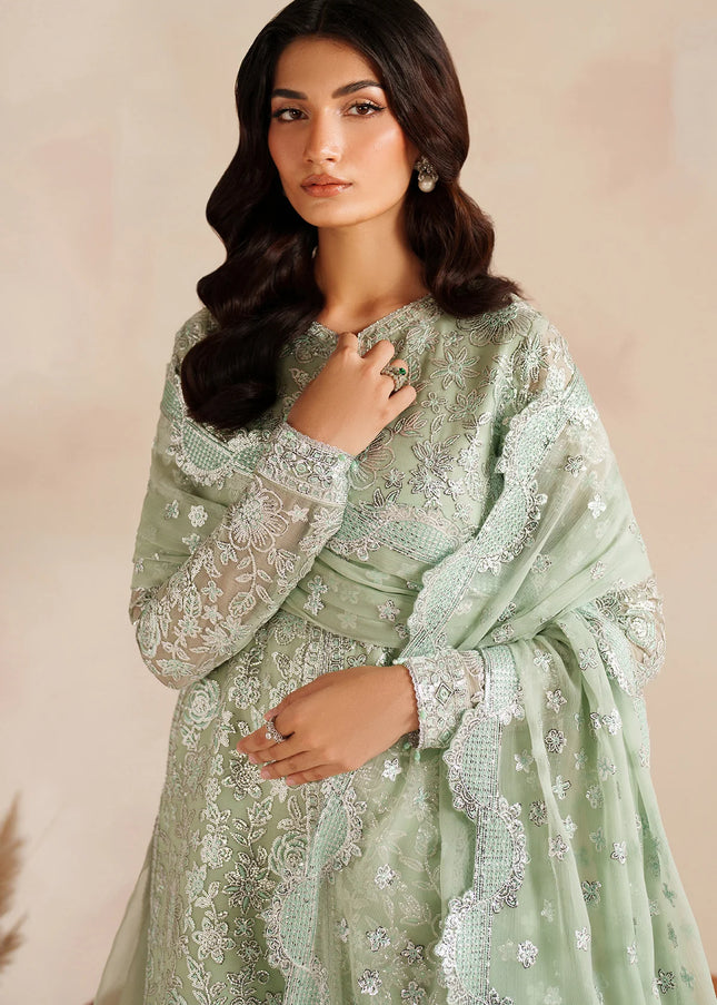 Farasha | Soft Fern