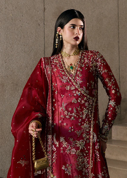 Suffuse | Freeshia Rtw'25 - Jaseria