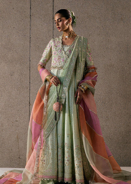 Suffuse | Freeshia Rtw'25 - Aymara