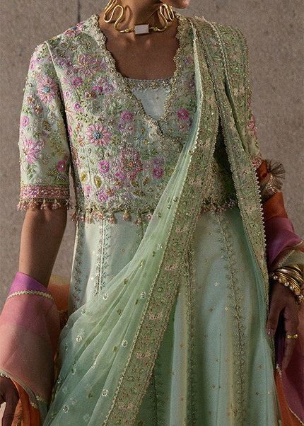 Suffuse | Freeshia Rtw'25 - Aymara