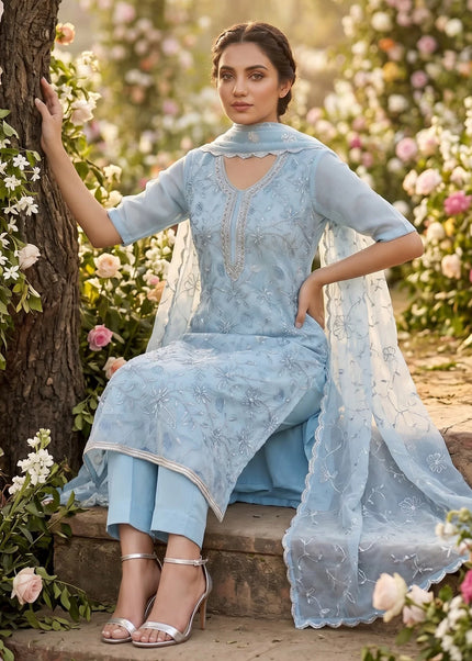 Organza Embroidered Pant Style Suit Series