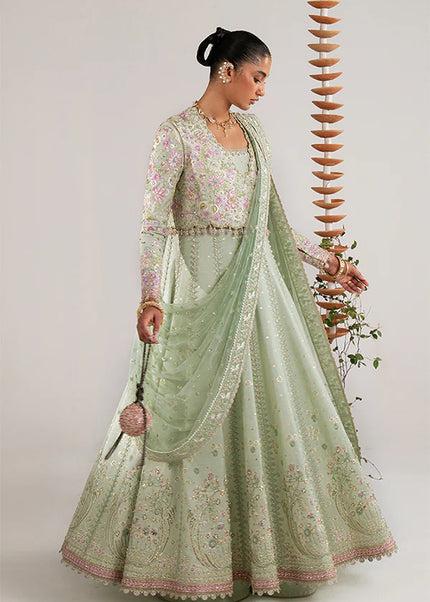 Suffuse | Freeshia Rtw'25 - Aymara