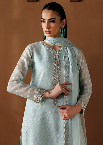 Baroque | Embroidered Cotton Net PR-1285