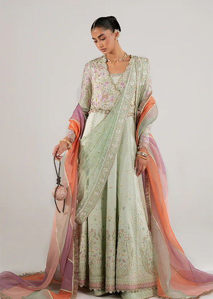 Suffuse | Freeshia Rtw'25 - Aymara