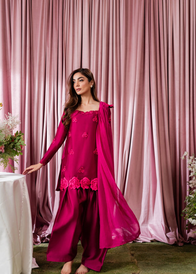 Shanzay Anooshay | Pink Pop