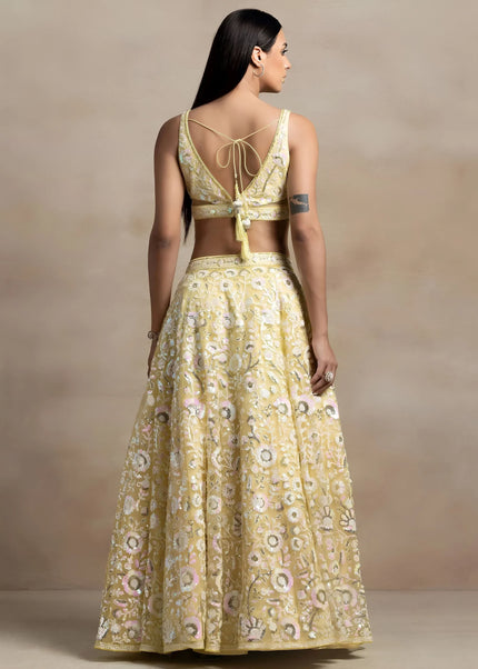 Net Embroidered Lehenga Choli Series