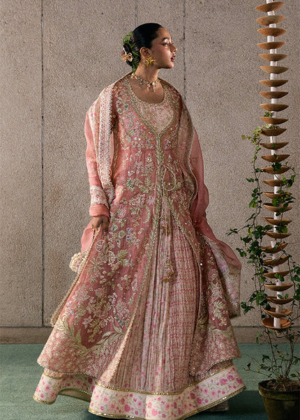 Suffuse | Freeshia Rtw'25 - Novara