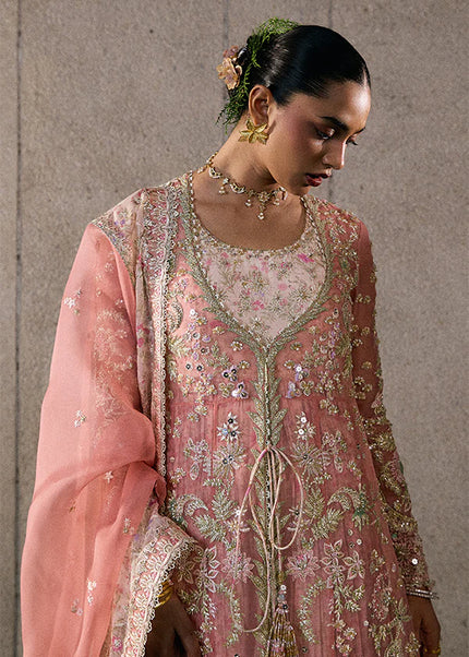 Suffuse | Freeshia Rtw'25 - Novara