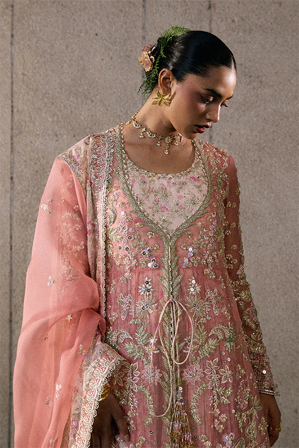 Suffuse | Freeshia Rtw'25 - Novara