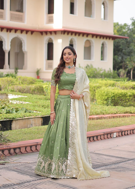 Sequins Embroidered Lehenga choli