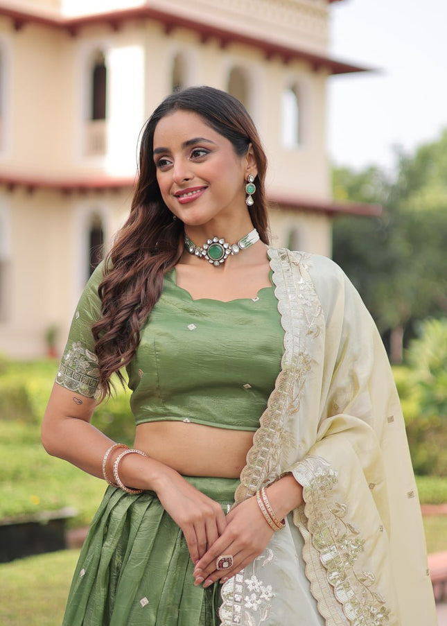 Sequins Embroidered Lehenga choli