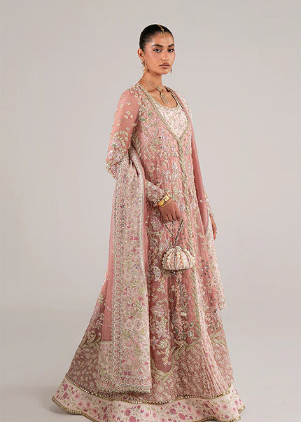 Suffuse | Freeshia Rtw'25 - Novara