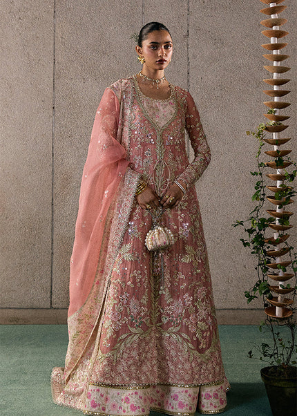 Suffuse | Freeshia Rtw'25 - Novara