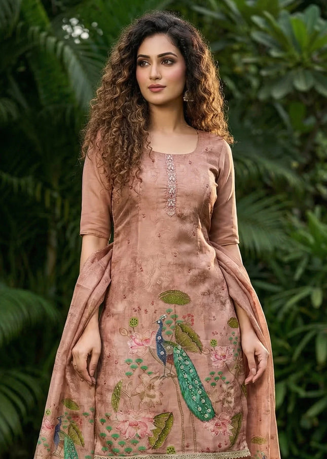 Silk Embroidered Punjabi Suit Series