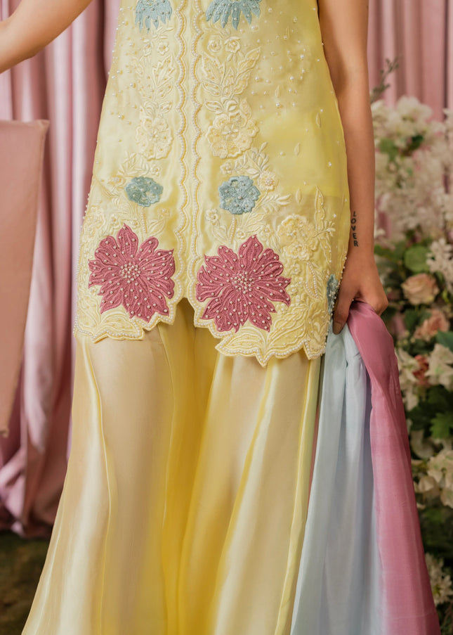 Shanzay Anooshay | Lemon Sorbet