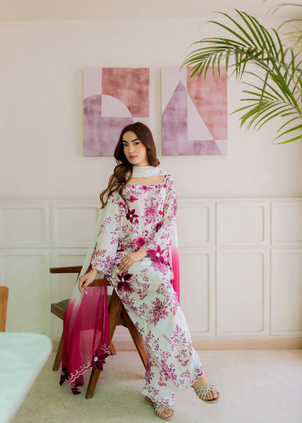 Shanzay Anooshay | Bubble Blush