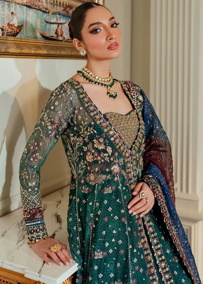 Baroque | Chantelle '24 - EMBROIDERED NET CH13-03
