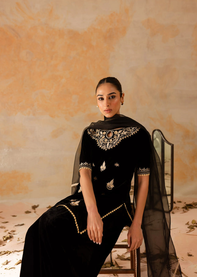 Shanzay Anooshay | Chandni