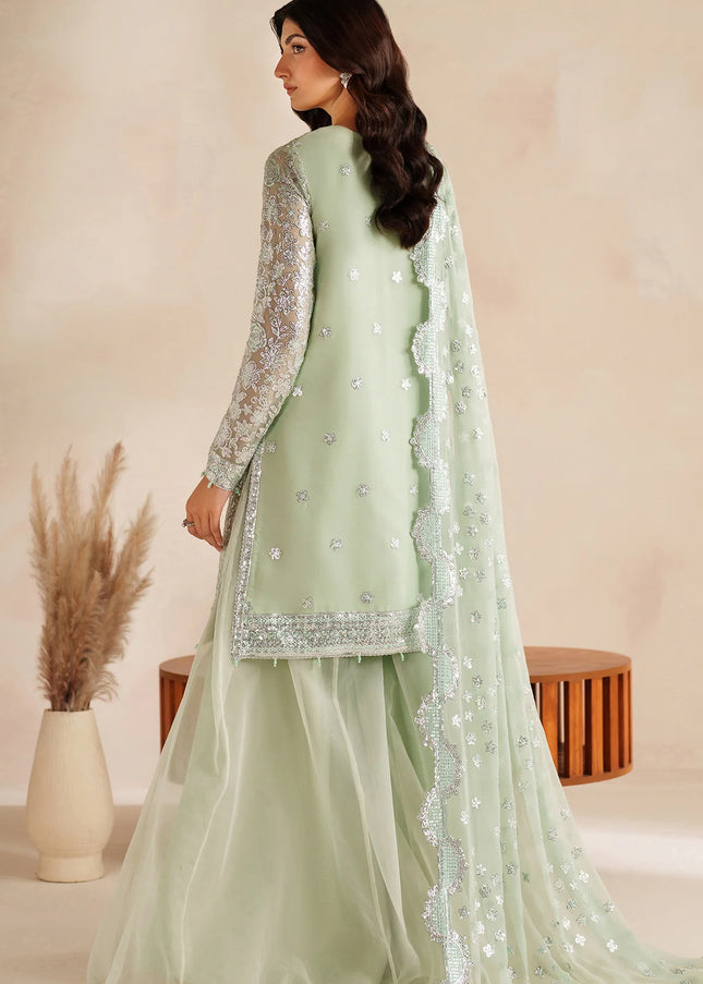 Farasha | Soft Fern