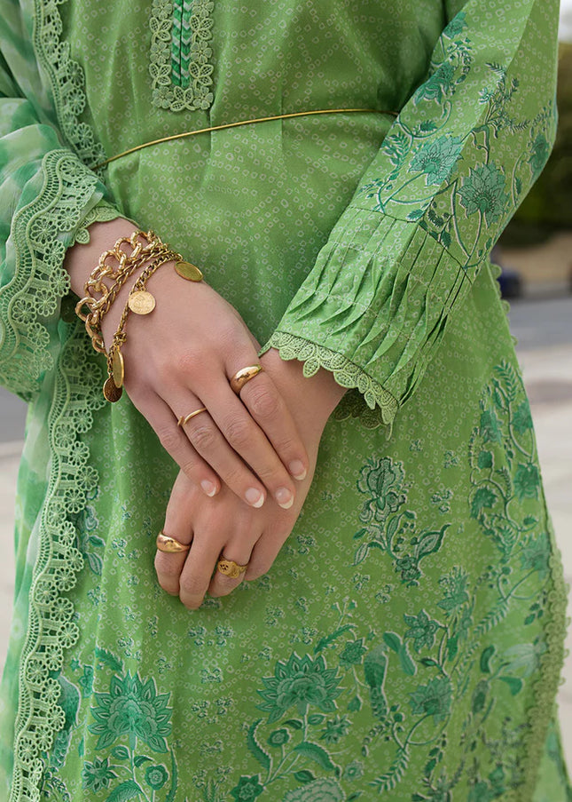 Sobia Nazir | Basic'25 - 7B