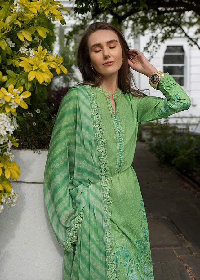 Sobia Nazir | Basic'25 - 7B