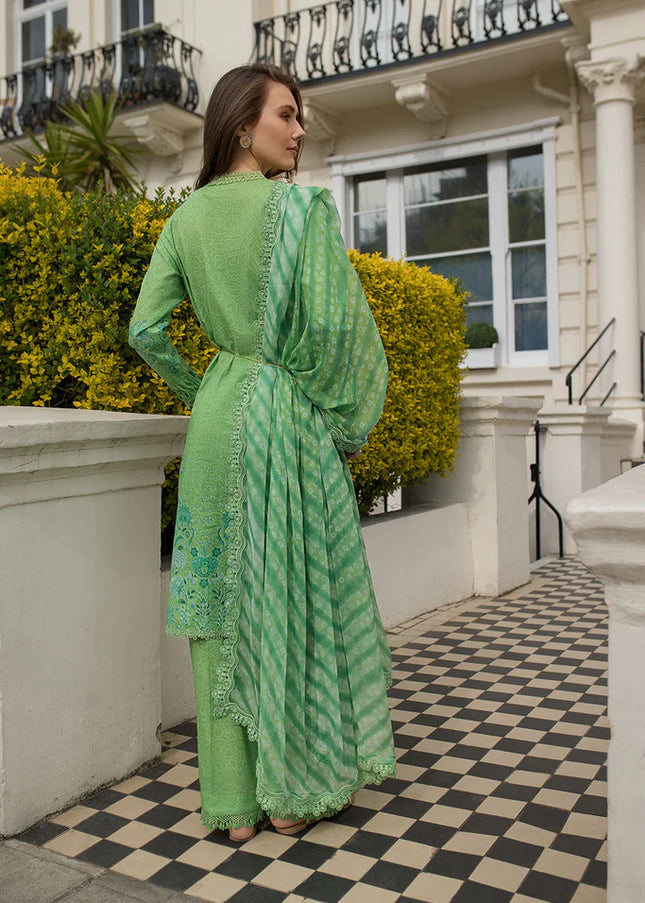 Sobia Nazir | Basic'25 - 7B