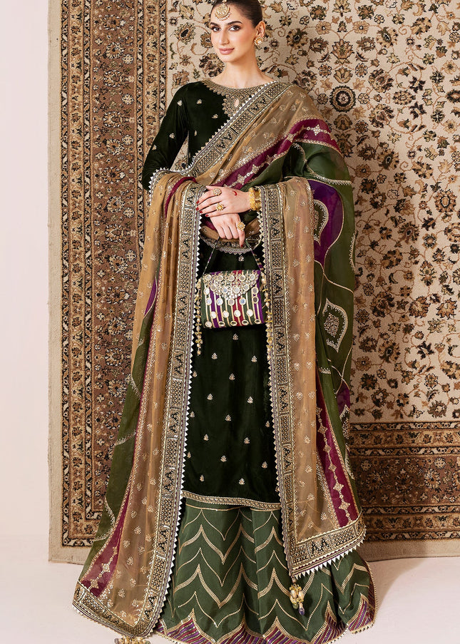 Jazmin | Embroidered Velvet Formal CVF D-09