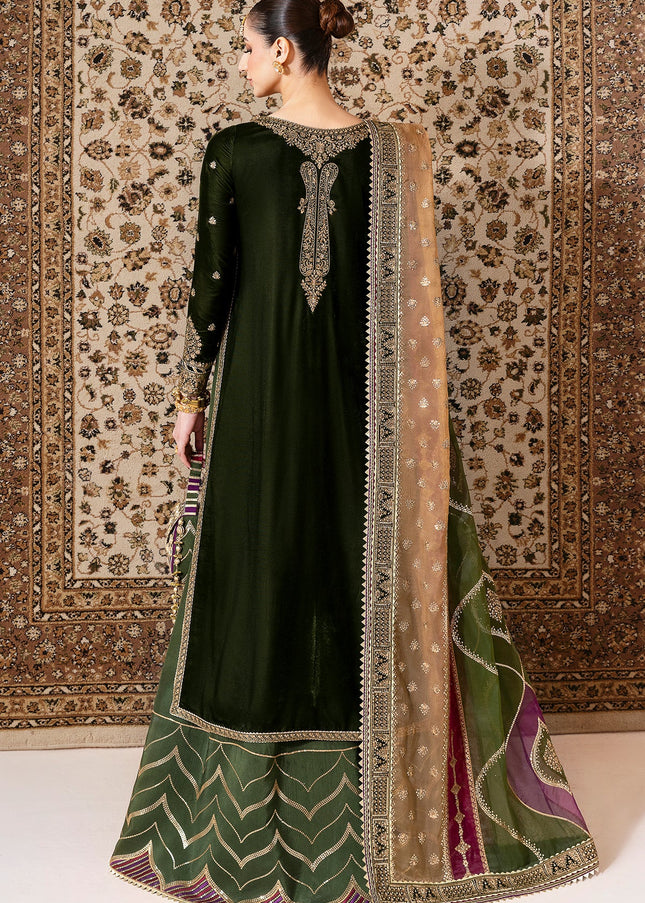 Jazmin | Embroidered Velvet Formal CVF D-09