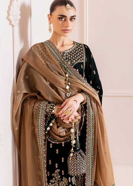 Jazmin | Embroidered Velvet Formal CVF D-01