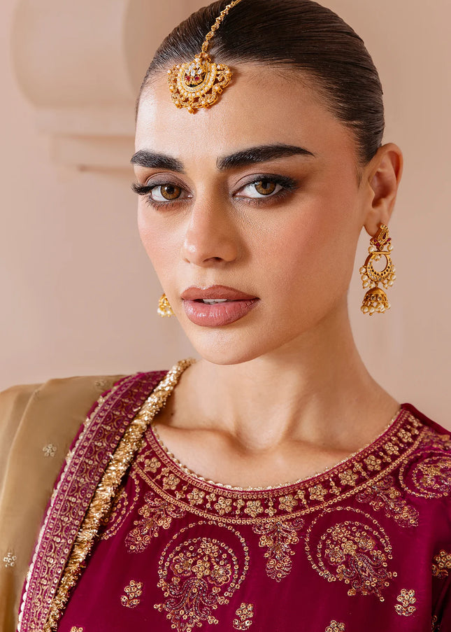 Jazmin | Embroidered Velvet Formal CVF D-11
