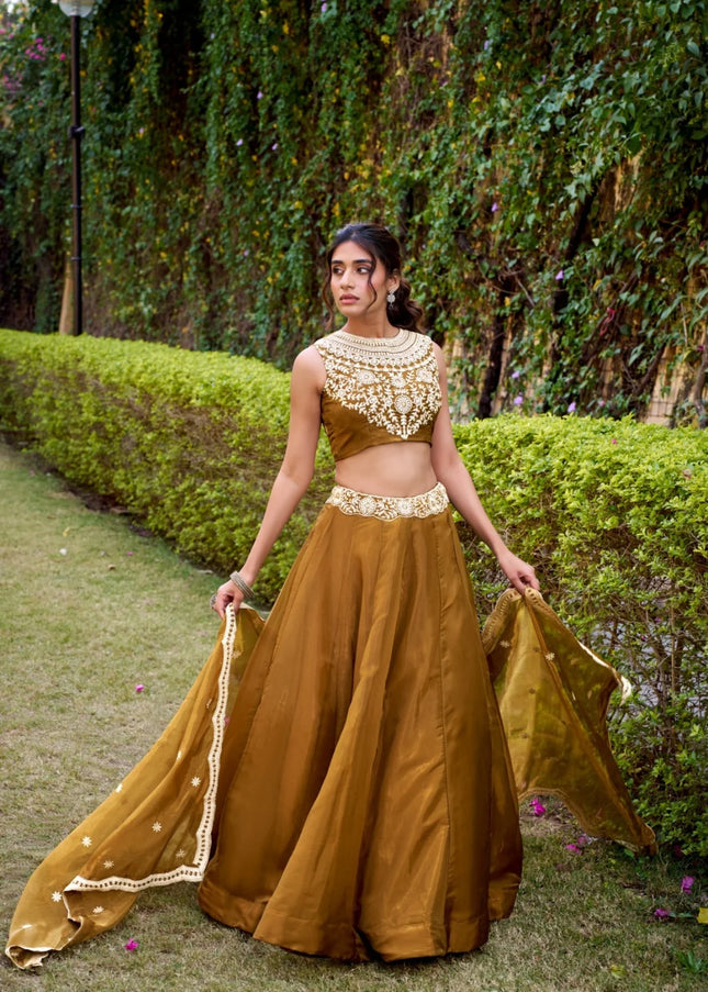 Mustard Yellow Embroidered Lehenga Choli