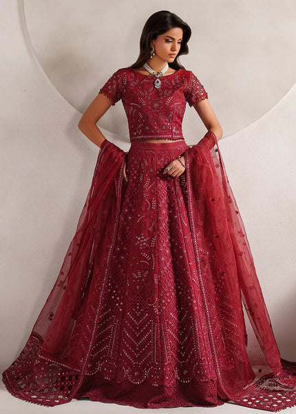 Zarif | Muse - Sheen