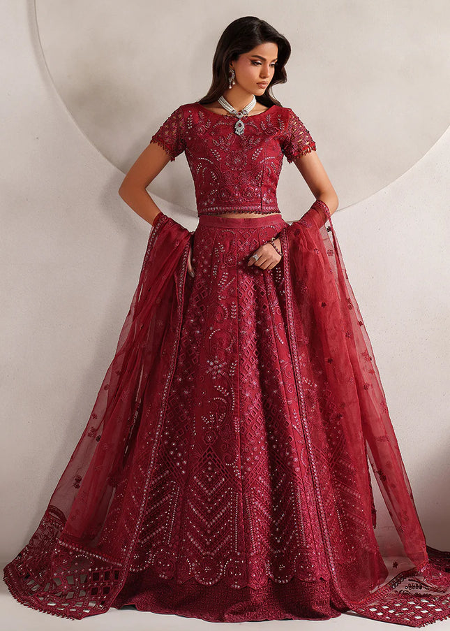 Zarif | Muse - Sheen