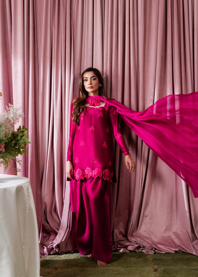Shanzay Anooshay | Pink Pop