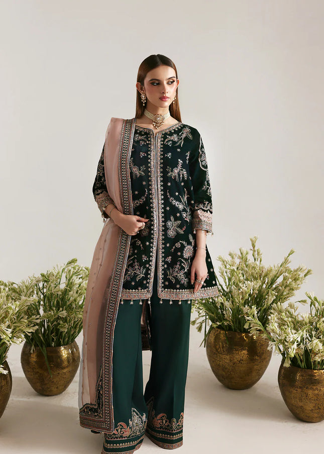 Emaan Adeel | Zarposh Velvet - Mehruunisa