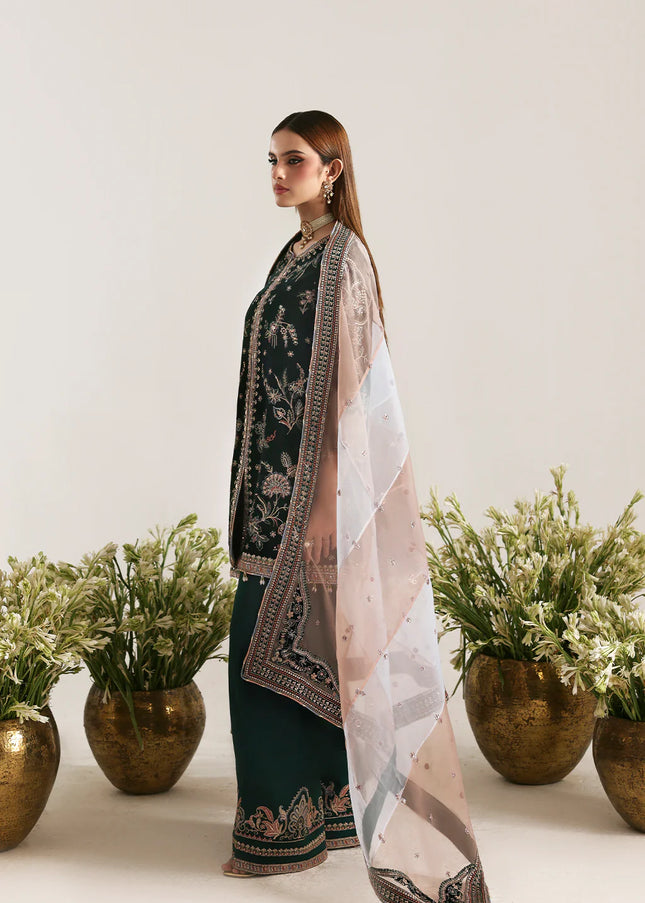 Emaan Adeel | Zarposh Velvet - Mehruunisa