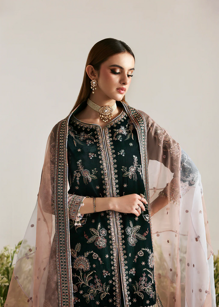 Emaan Adeel | Zarposh Velvet - Mehruunisa