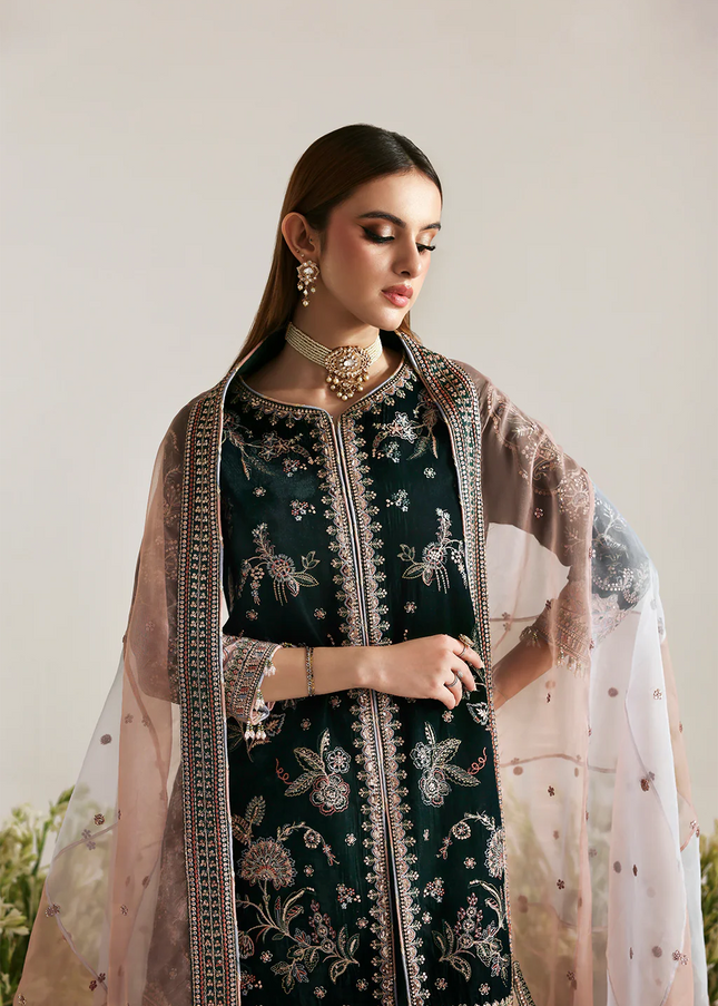 Emaan Adeel | Zarposh Velvet - Mehruunisa
