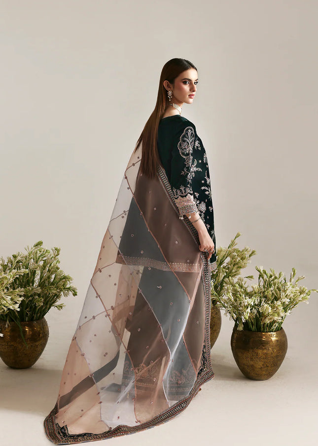 Emaan Adeel | Zarposh Velvet - Mehruunisa