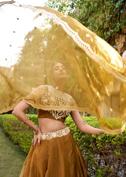 Mustard Yellow Embroidered Lehenga Choli