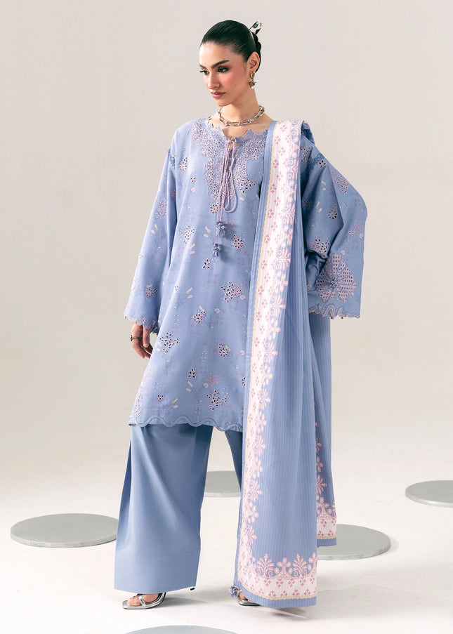 Qalamkar | Qprints Winter '26 - Beena