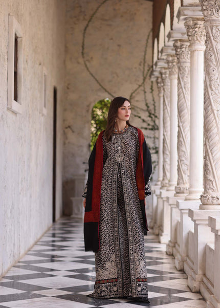 Noor By Saadia Asad | Noor Winter Pashmina Shawls '25 - Noir Safari